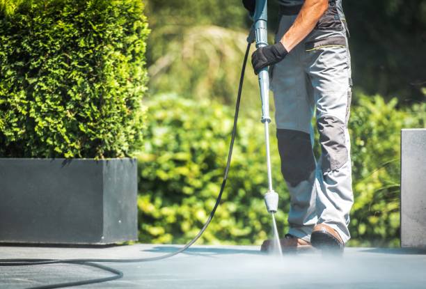 Best Warehouse Cleaning  in Afton, MN
