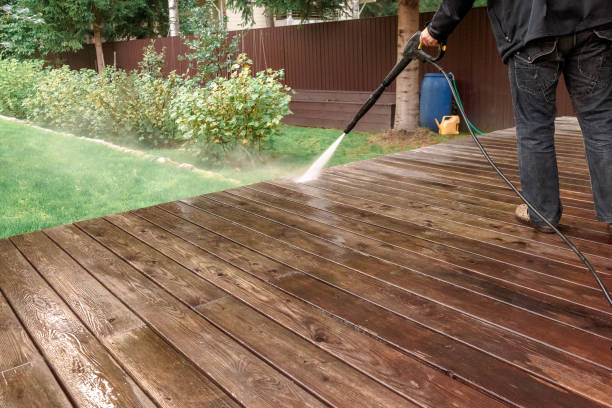 Best Fence Cleaning  in Afton, MN
