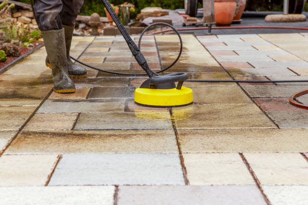 Best Spring Cleaning  in Afton, MN